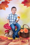 H-06-Herbst-Pilze- Hintergrund-web, Kindergarten, Kita, Schule, Fotografie, Hessen, Main Taunus Kreis, Wiesbaden, Blanka Roessler, Fotografin (4)